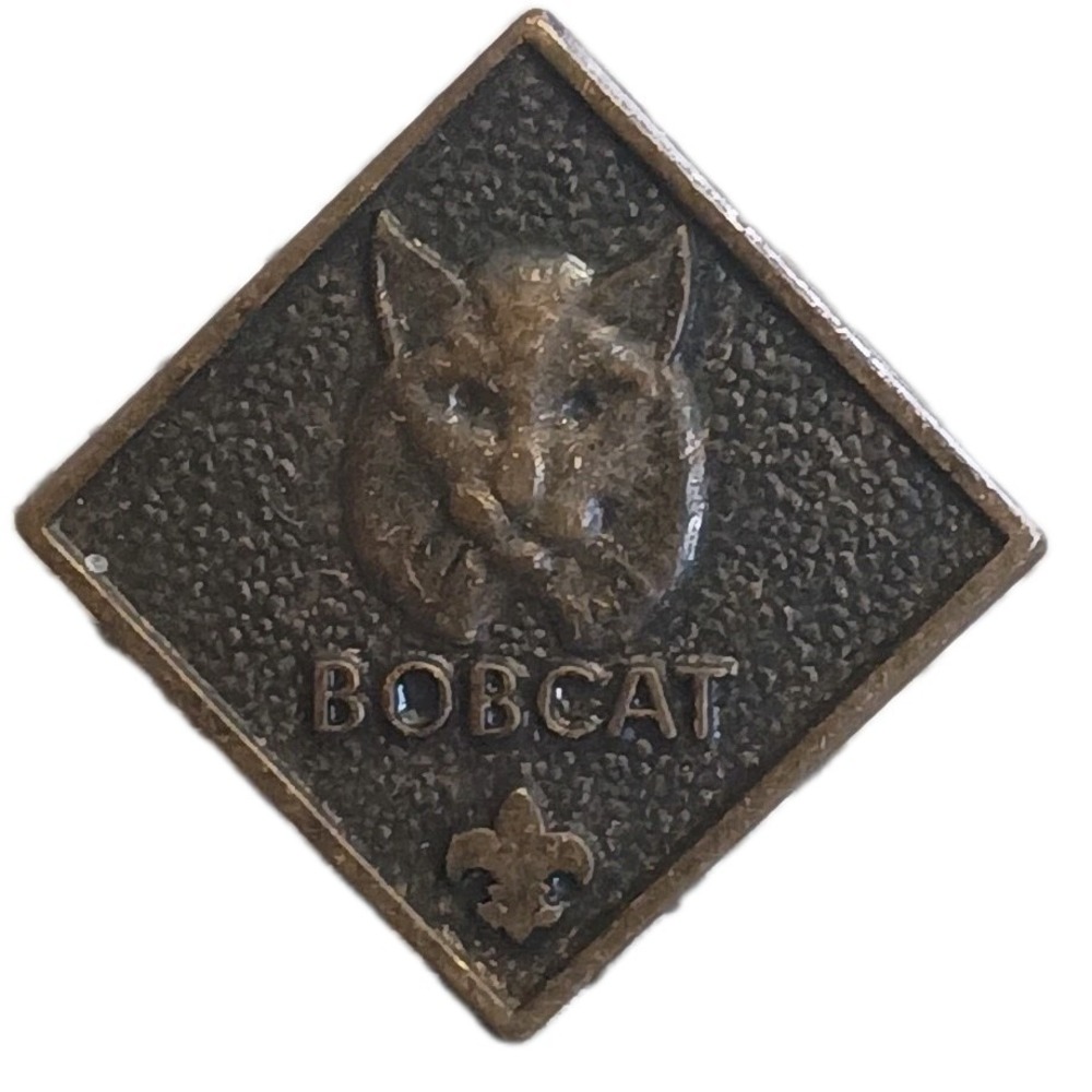 Vintage BSA Boy Scouts of America Cub Scout Bobcat Lapel Pin Pinback Bronze Tone